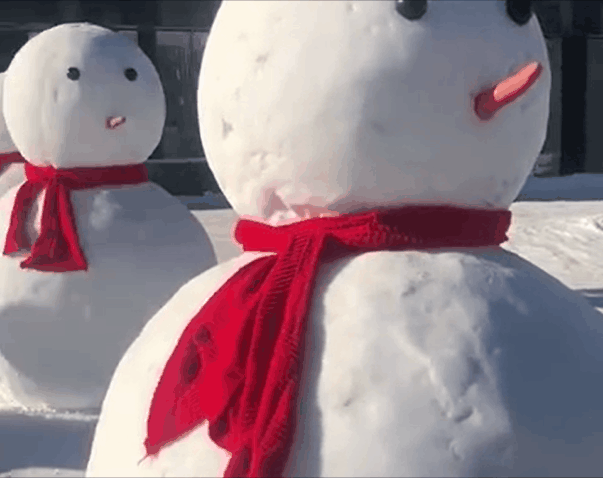 东北暴雪后出现舰艇编队，竟然是……图2