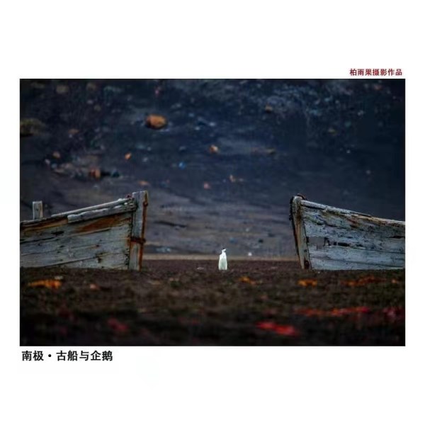 图片14.jpg