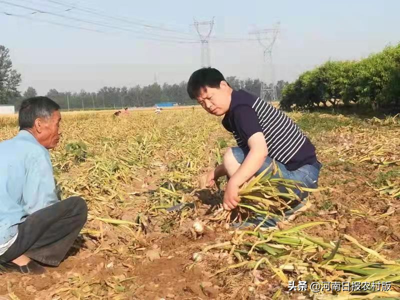 安阳市生态环境局宣教科主任科员睢晓康:一位驻村第一书记的倾情回忆,岁月无虚度,回眸当笑慰