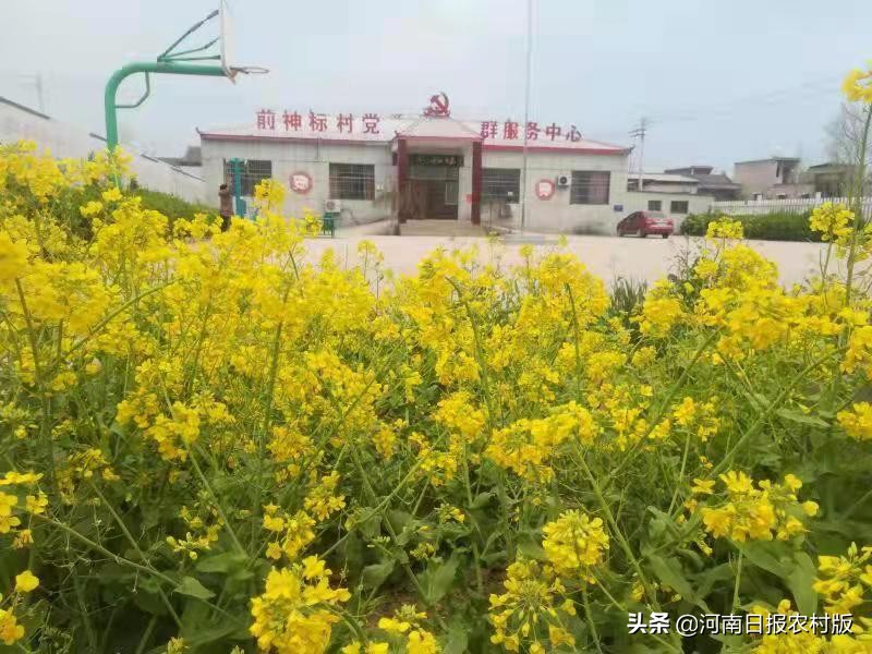 安阳市生态环境局宣教科主任科员睢晓康:一位驻村第一书记的倾情回忆,岁月无虚度,回眸当笑慰