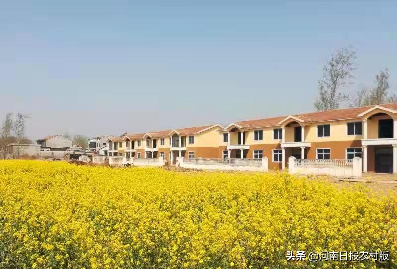 安阳市生态环境局宣教科主任科员睢晓康:一位驻村第一书记的倾情回忆,岁月无虚度,回眸当笑慰
